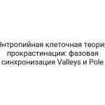 Энтропийная клеточная теория прокрастинации: фазовая синхронизация Valleys и Pole